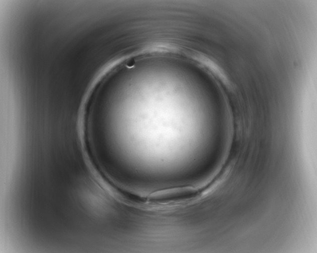 X0000099981038200805231421