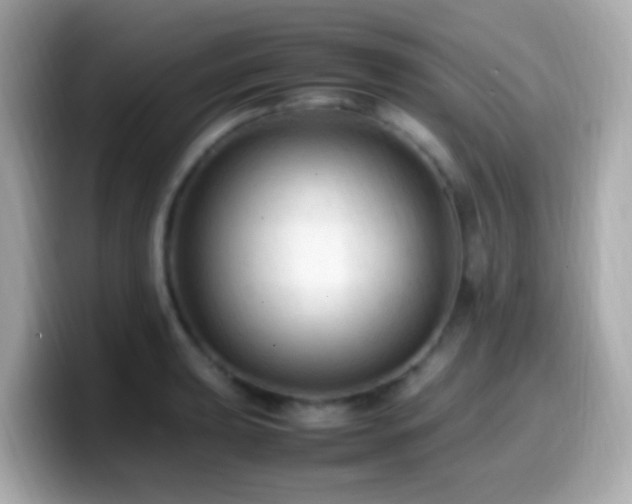 X0000099981039200805231421