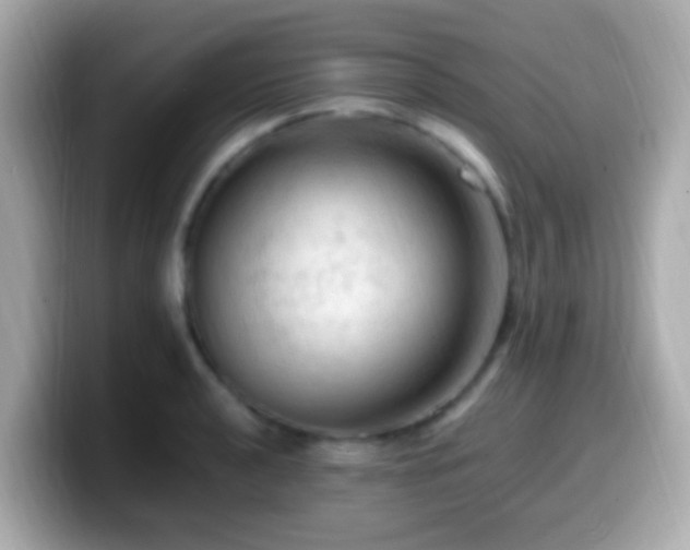 X0000099981040200805231421