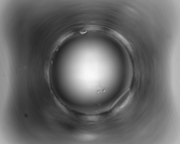 X0000099981041200805231421