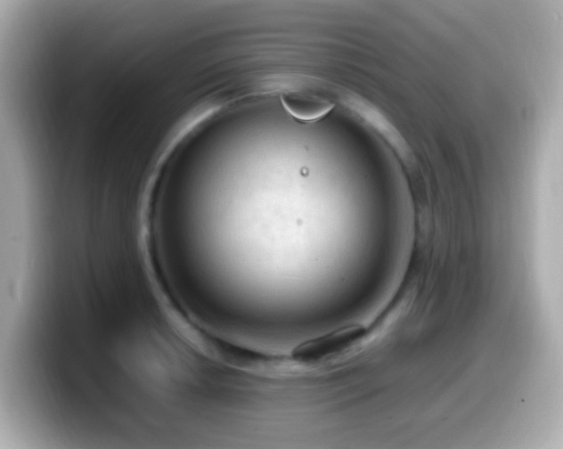 X0000099981042200805231421