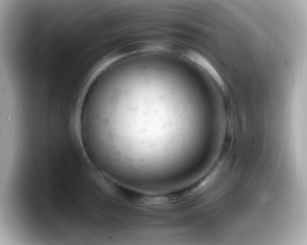 X0000099981043200805231421