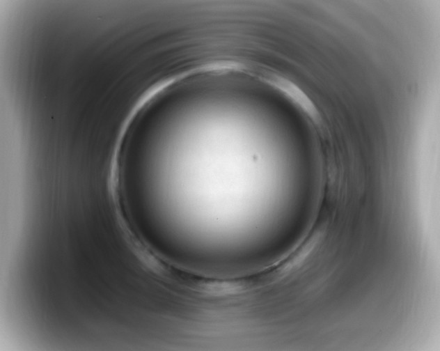 X0000099981044200805231421