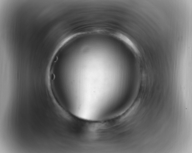 X0000099981047200805231421