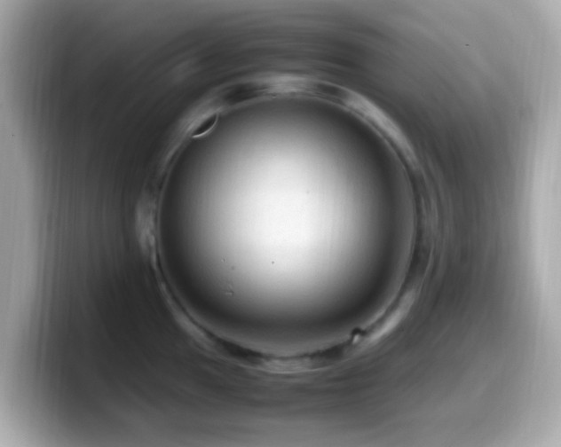X0000099981049200805231421