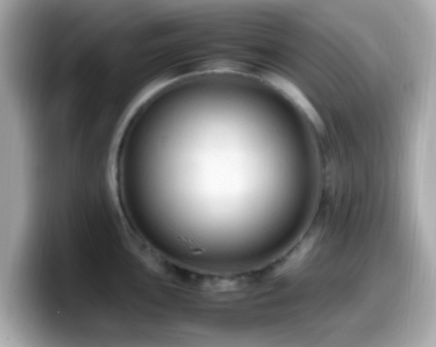 X0000099981051200805231421