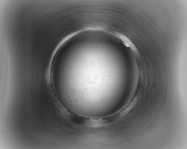 X0000099981052200805231421