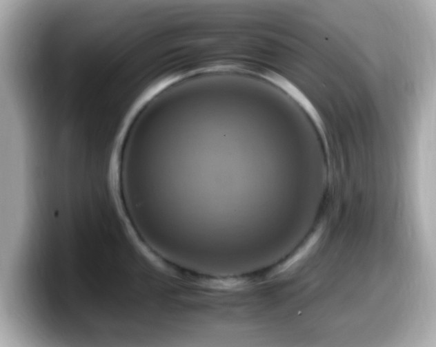X0000099981053200805231421