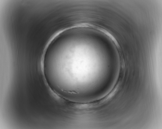 X0000099981054200805231421