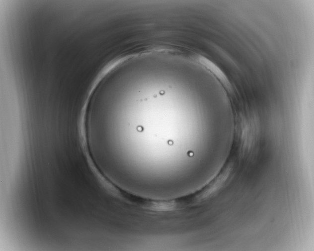 X0000099981055200805231421