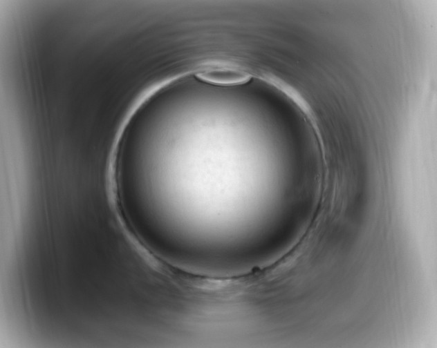 X0000099981056200805231421