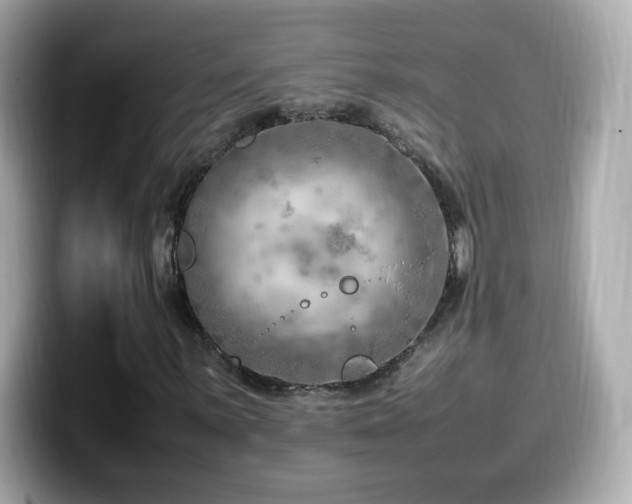 X0000099981059200805231420
