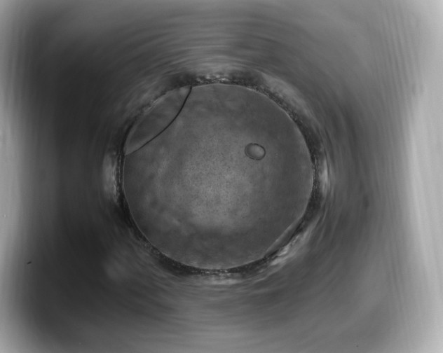 X0000099981060200805231420