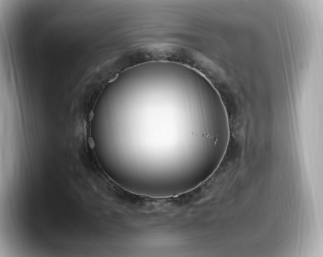 X0000099981061200805231420