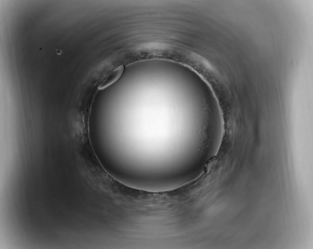 X0000099981062200805231420