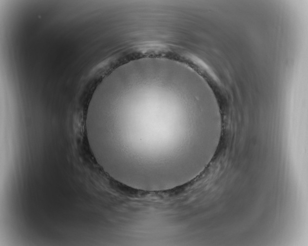 X0000099981063200805231420