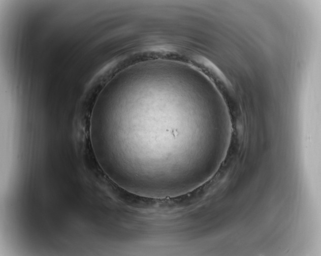 X0000099981064200805231420