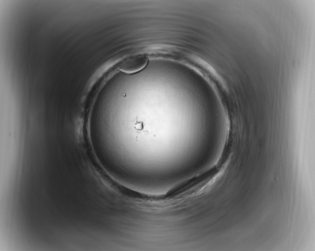 X0000099981066200805231420