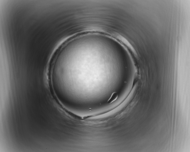 X0000099981068200805231420