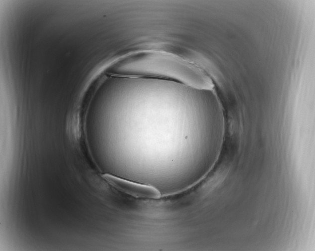 X0000099981069200805231420
