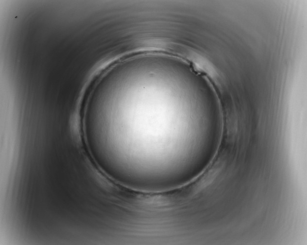 X0000099981072200805231420