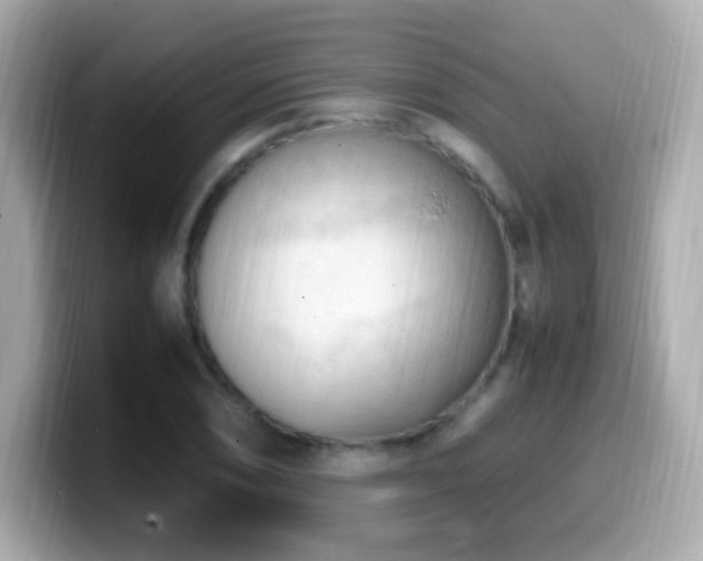 X0000099981074200805231420
