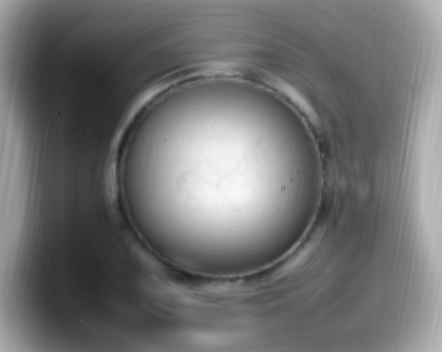 X0000099981075200805231420
