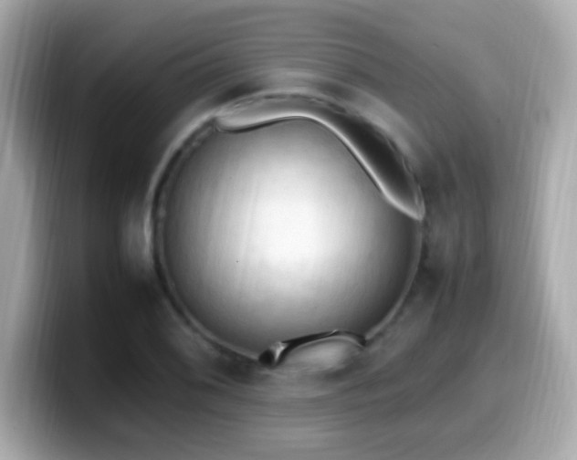 X0000099981076200805231420