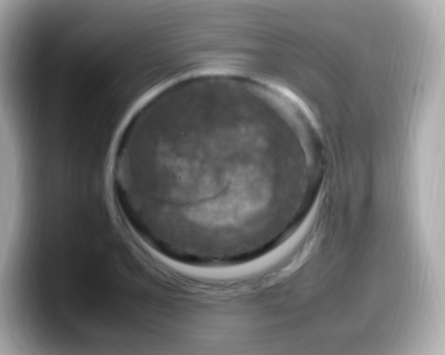 X0000099981077200805231420