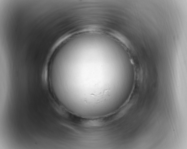 X0000099981078200805231420