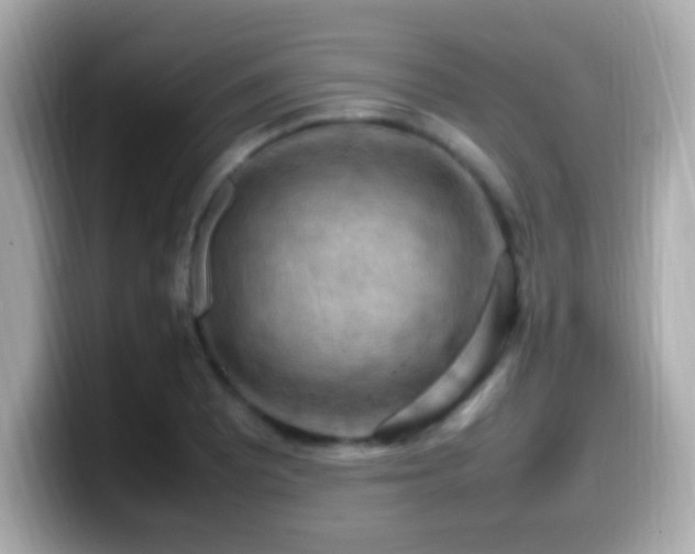 X0000099981081200805231420