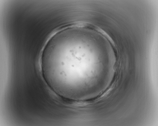 X0000099981083200805231420