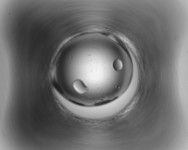X0000099981089200805231420