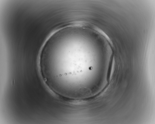 X0000099981091200805231420