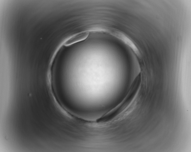 X0000099981092200805231420