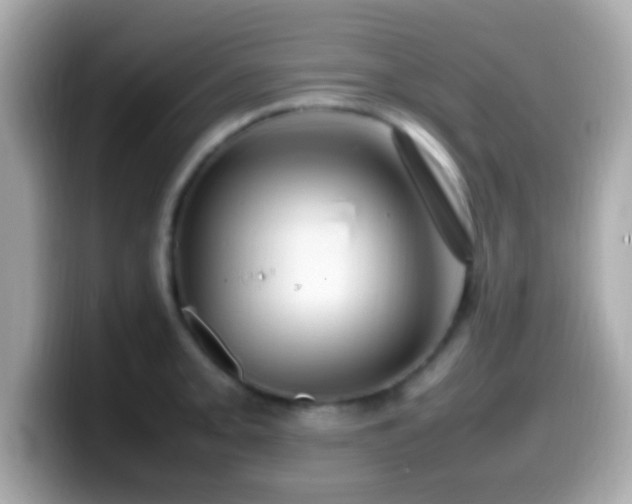 X0000099981093200805231420