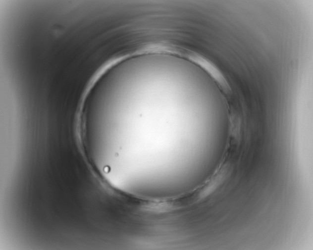 X0000099981094200805231420