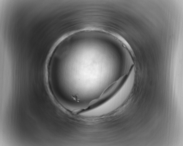 X0000099981096200805231420