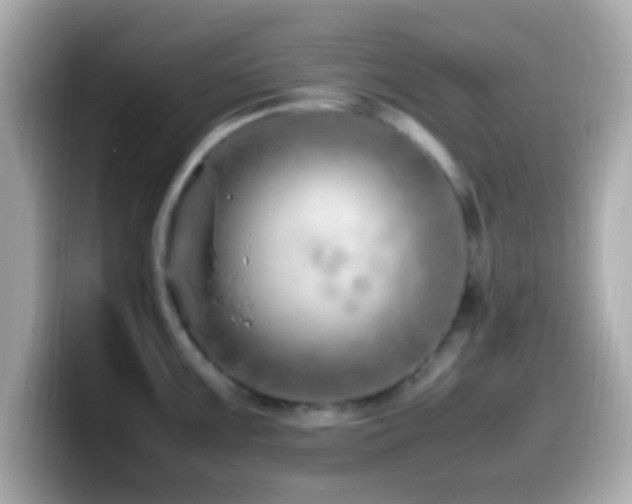 X0000099981099200805231420
