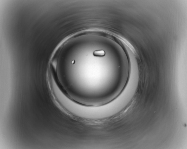 X0000099981100200805231420