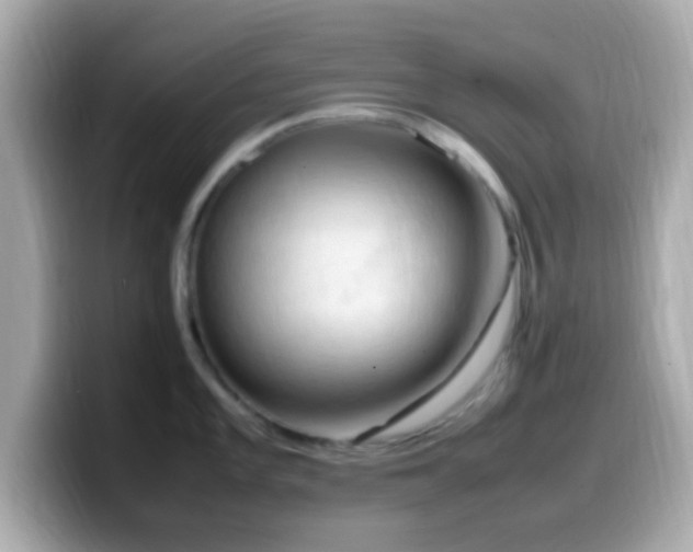 X0000099981101200805231420