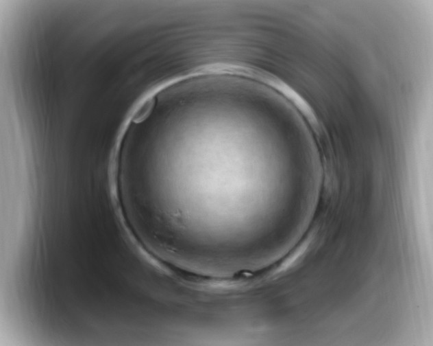 X0000099981102200805231420
