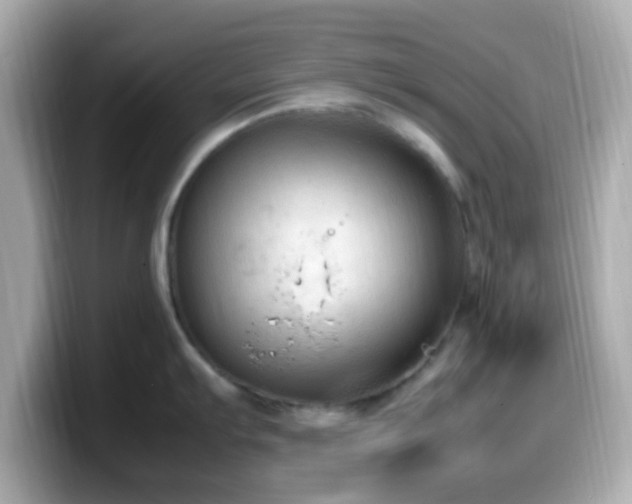 X0000099981103200805231420