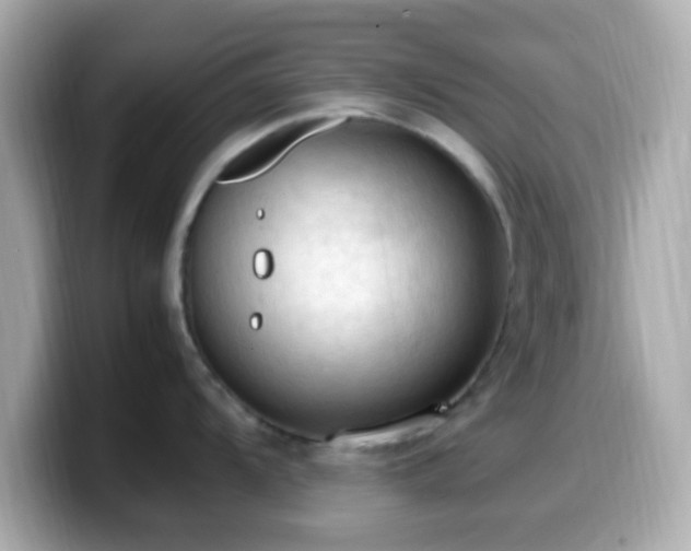 X0000099981104200805231420