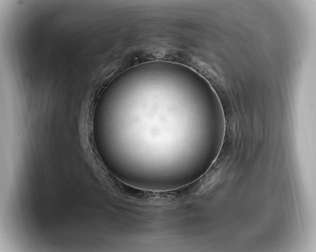 X0000099981105200805231419