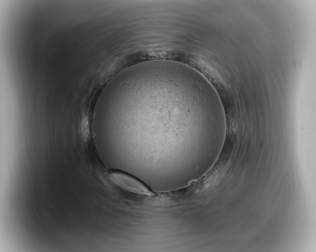 X0000099981106200805231419