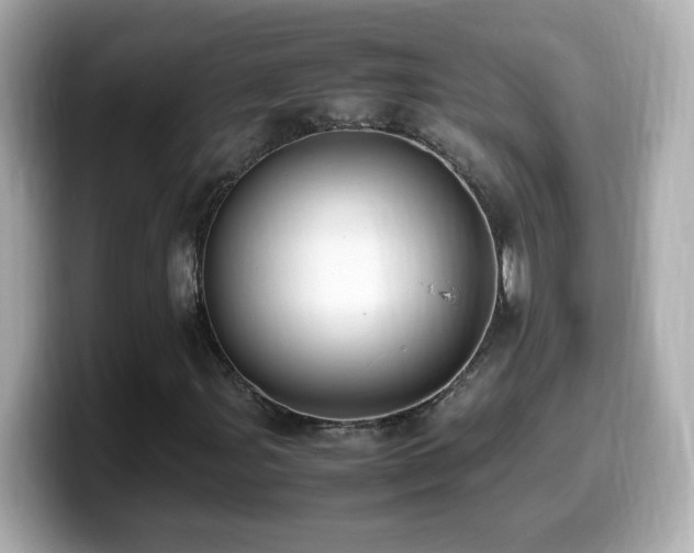 X0000099981107200805231419