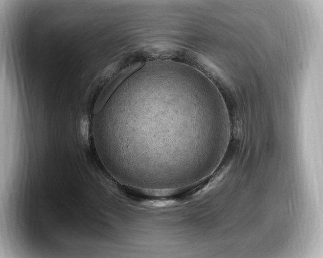 X0000099981108200805231419