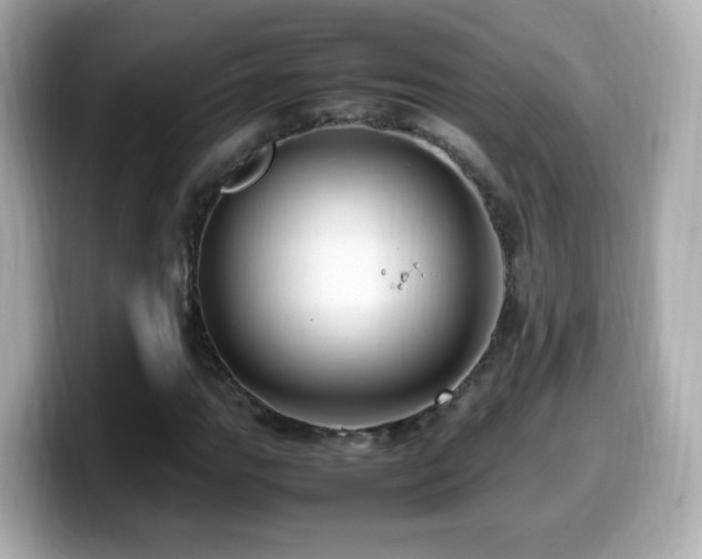 X0000099981111200805231419