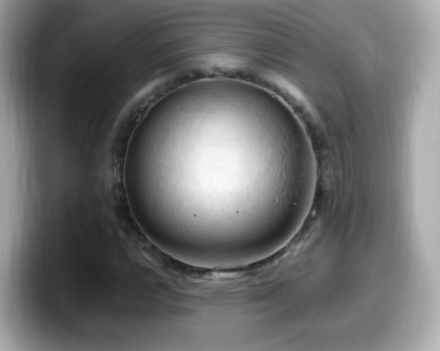 X0000099981112200805231419